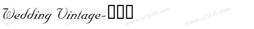 Wedding Vintage字体转换